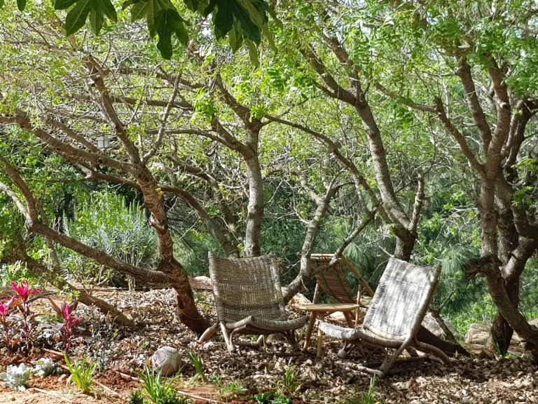 גן פרטי מכבים 2