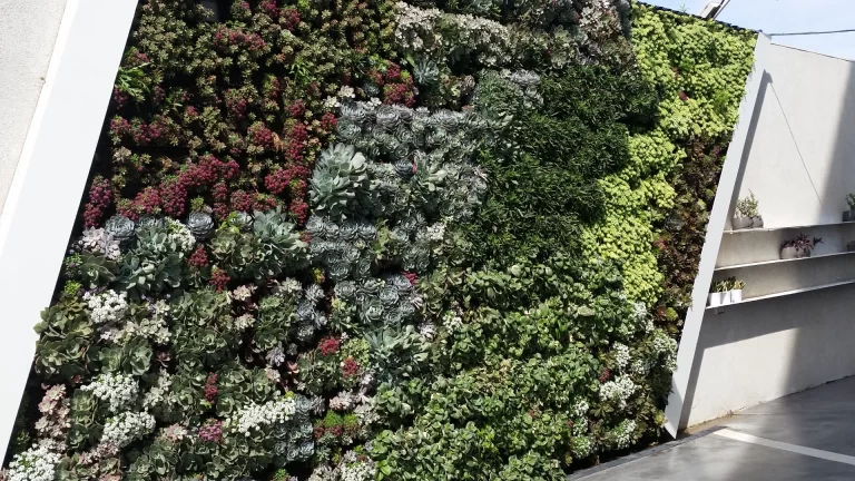 קיר ירוק גן אירועים